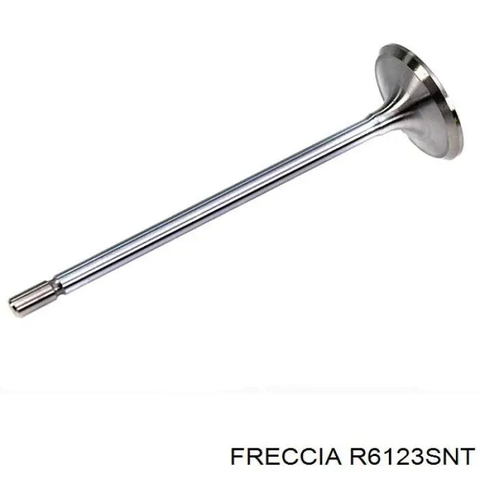 Купить R6123SNT Freccia Впускной клапан