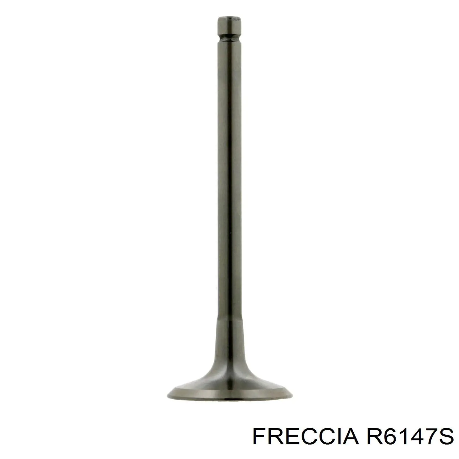 R6147S Freccia клапан впускной