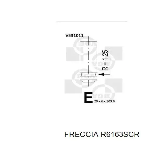 R6163SCR Freccia