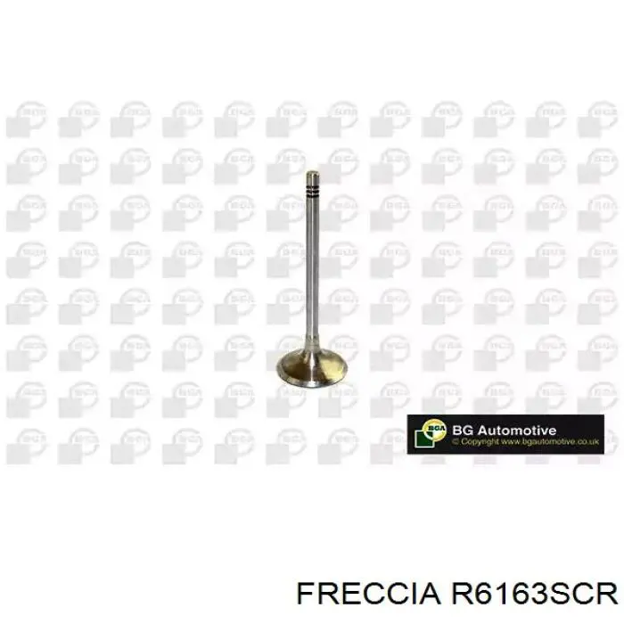 Впускной клапан 6163 Freccia