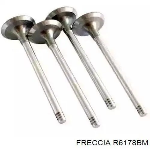 Купить R6178BM Freccia Выпускной клапан
