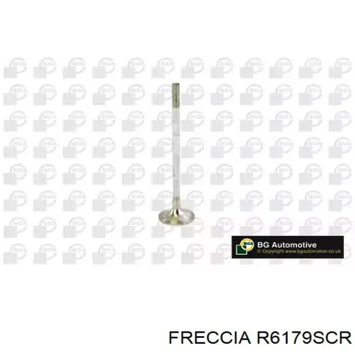 R6179SCR Freccia