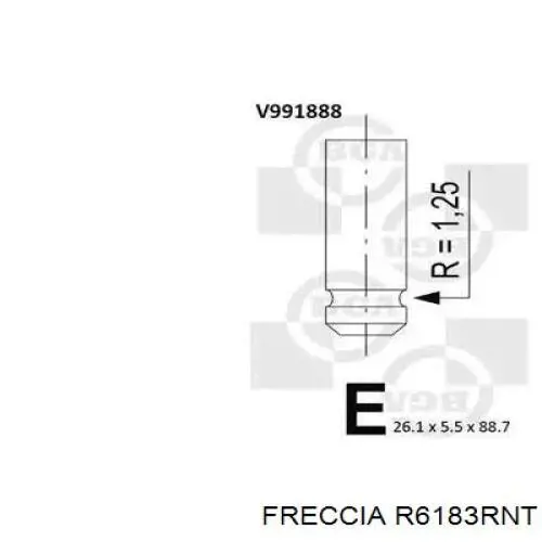 R6183RNT Freccia клапан впускной