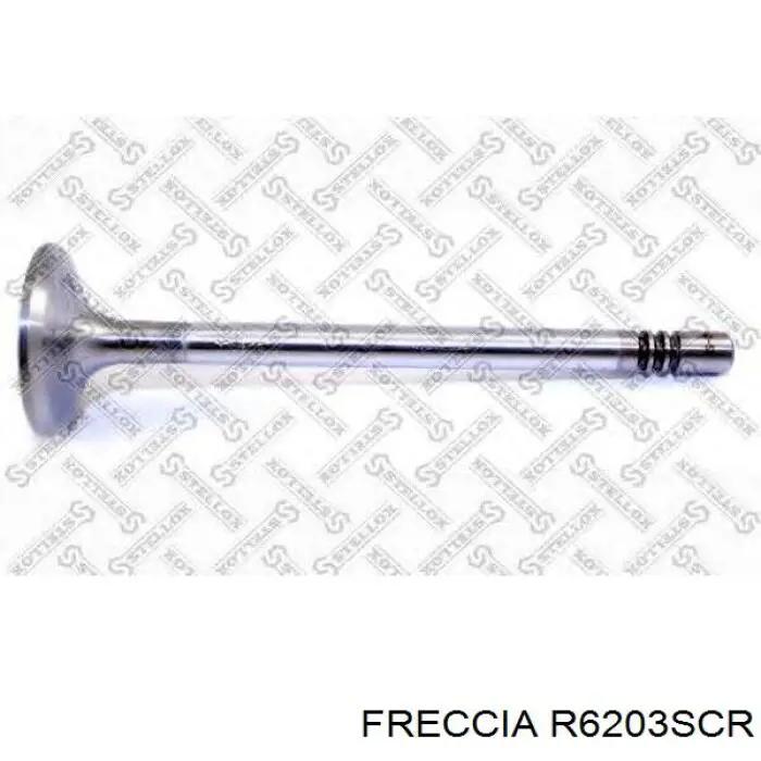 R6203SCR Freccia клапан впускной