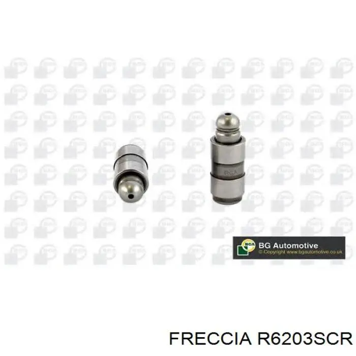 R6203SCR Freccia