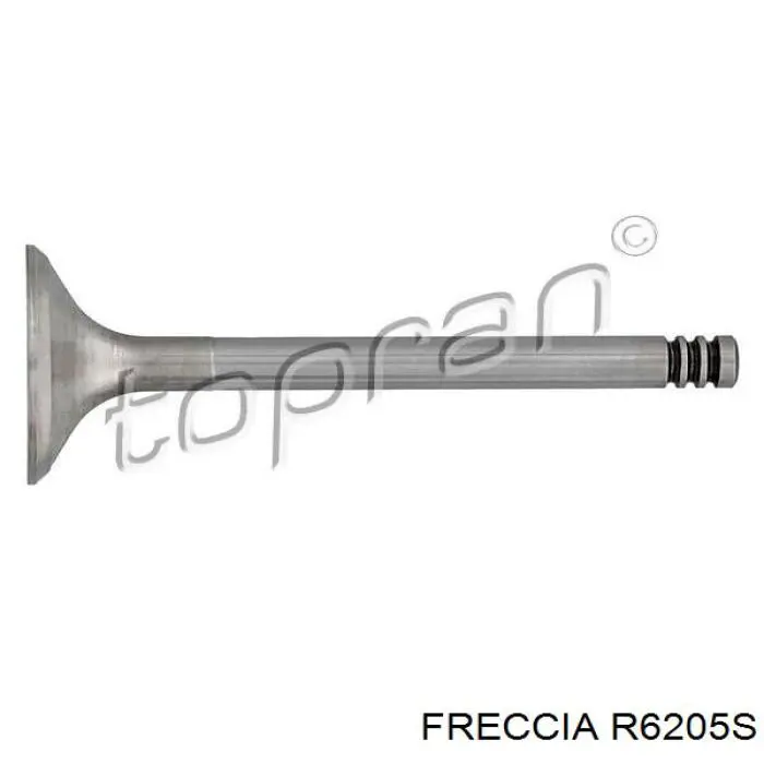 R6205S Freccia клапан впускной