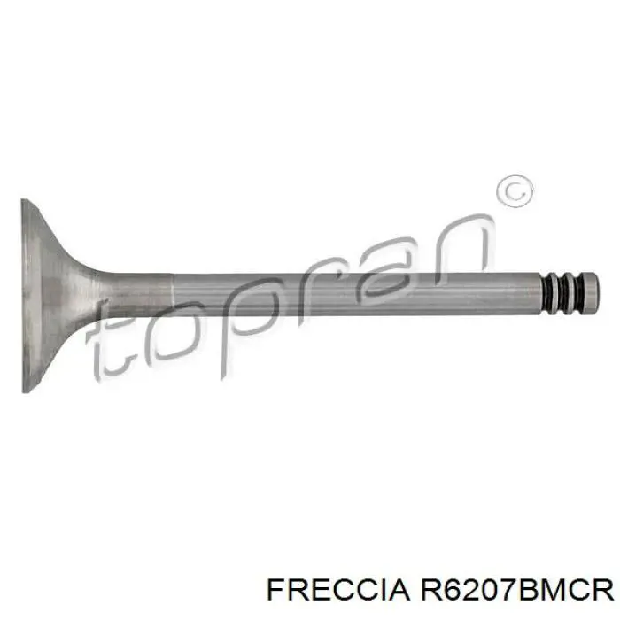 R6207BMCR Freccia клапан выпускной