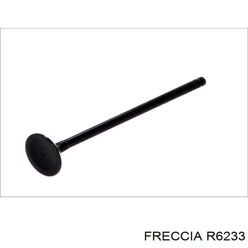 6233 Freccia выпускной клапан