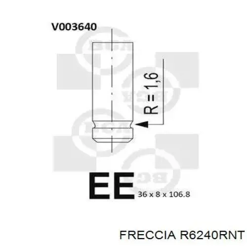 R6240RNT Freccia клапан выпускной