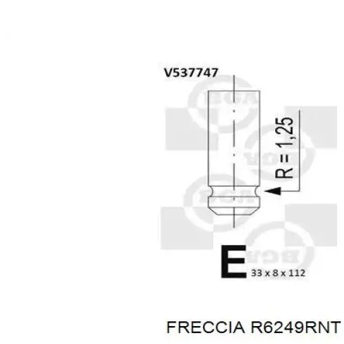 R6249RNT Freccia