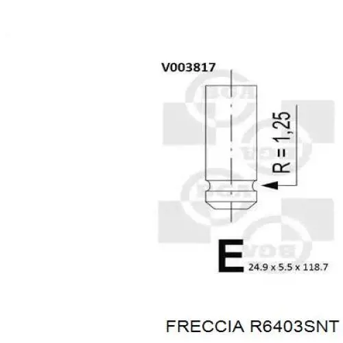 R6403SNT Freccia клапан впускной