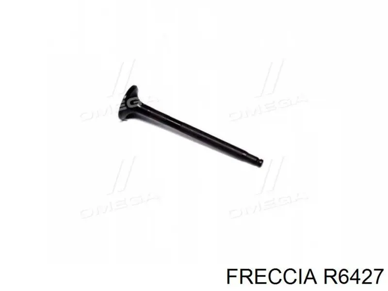 Выпускной клапан R6427 Freccia