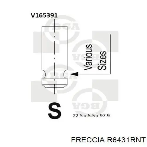 Выпускной клапан R6431RNT Freccia