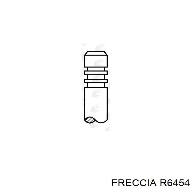 R6454 Freccia válvula de escape