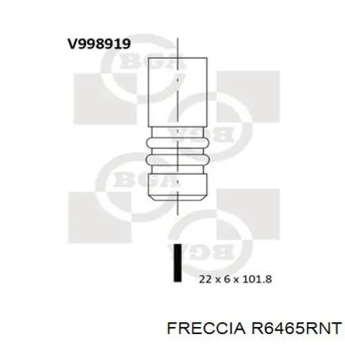 R6465RNT Freccia клапан выпускной