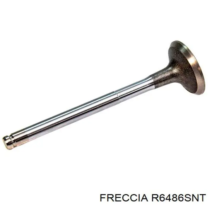 Купить R6486SNT Freccia Впускной клапан