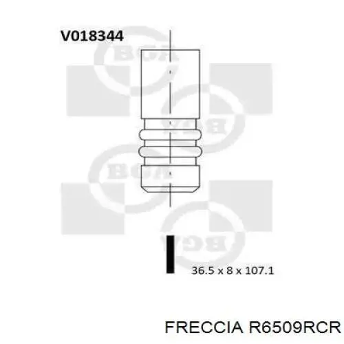 Купить R6509RCR Freccia Выпускной клапан