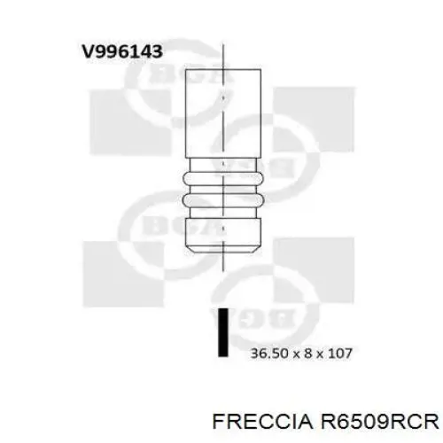 R6509RCR Freccia Выхлопной клапан