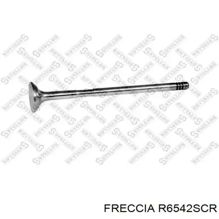 Купить R6542SCR Freccia Впускной клапан