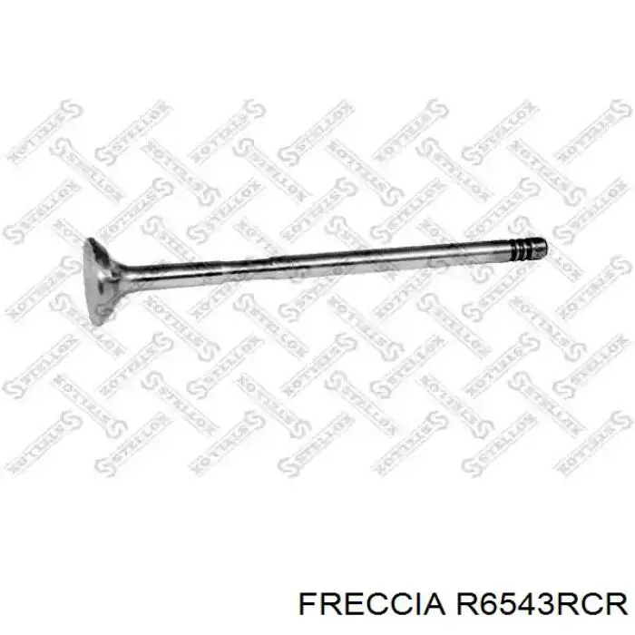 R6543RCR Freccia клапан выпускной