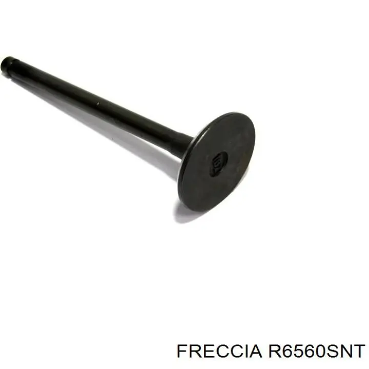 R6560SNT Freccia