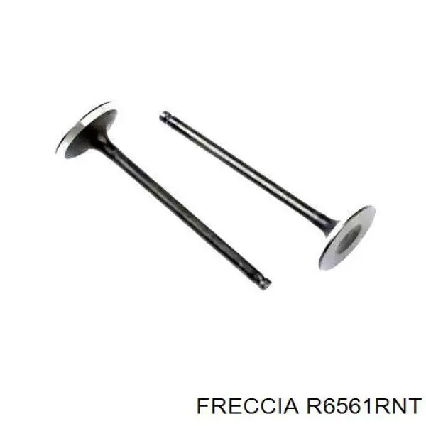 R6561RNT Freccia