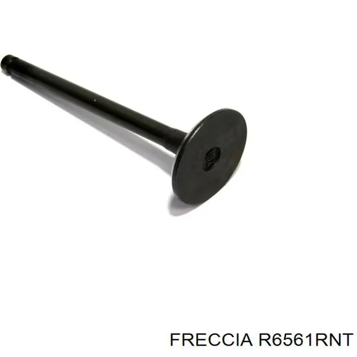R6561RNT Freccia клапан выпускной