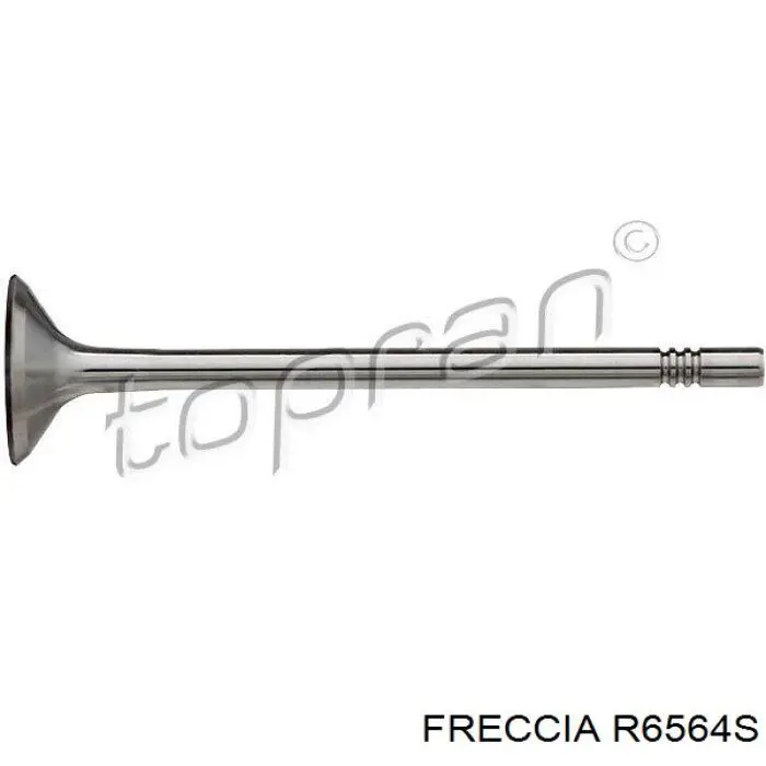 R6564S Freccia клапан впускной