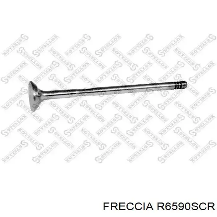 R6590SCR Freccia клапан впускной