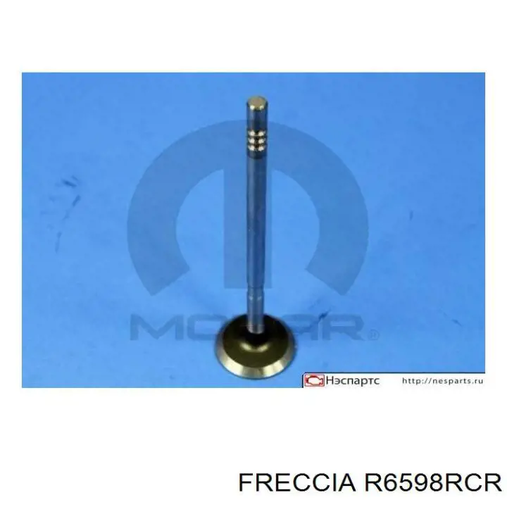 R6598RCR Freccia