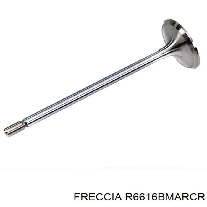 Válvula de escape R6616BMARCR Freccia