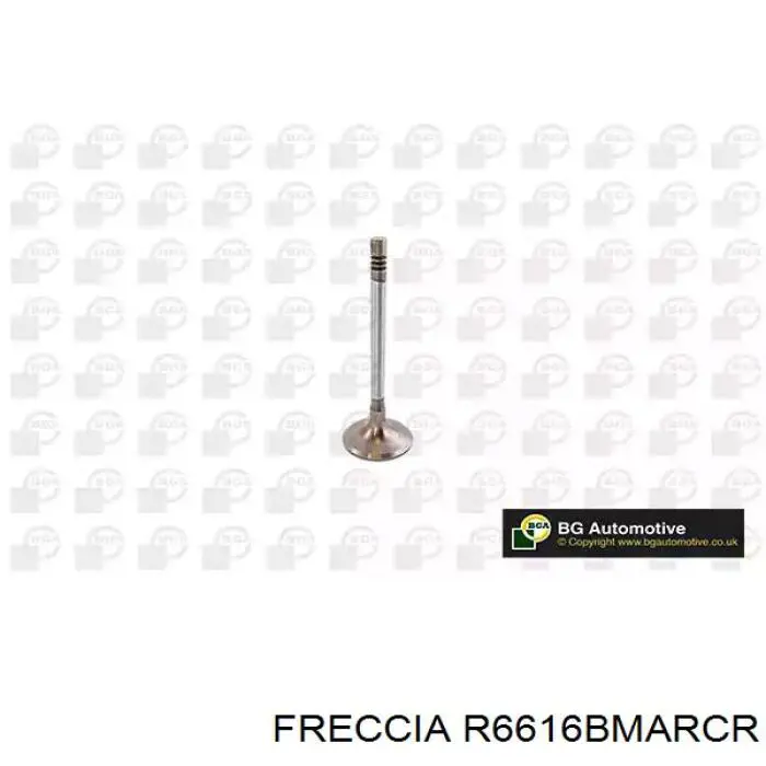 6616 Freccia Выхлопной клапан