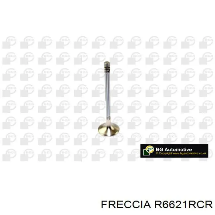 R6621RCR Freccia клапан выпускной