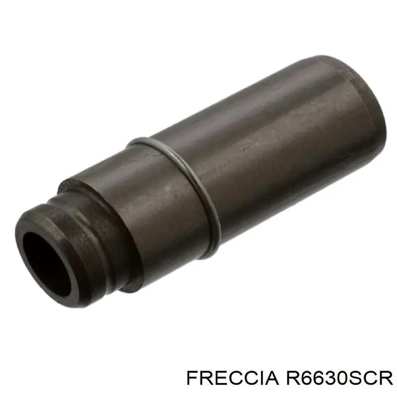 Купить R6630SCR Freccia Впускной клапан