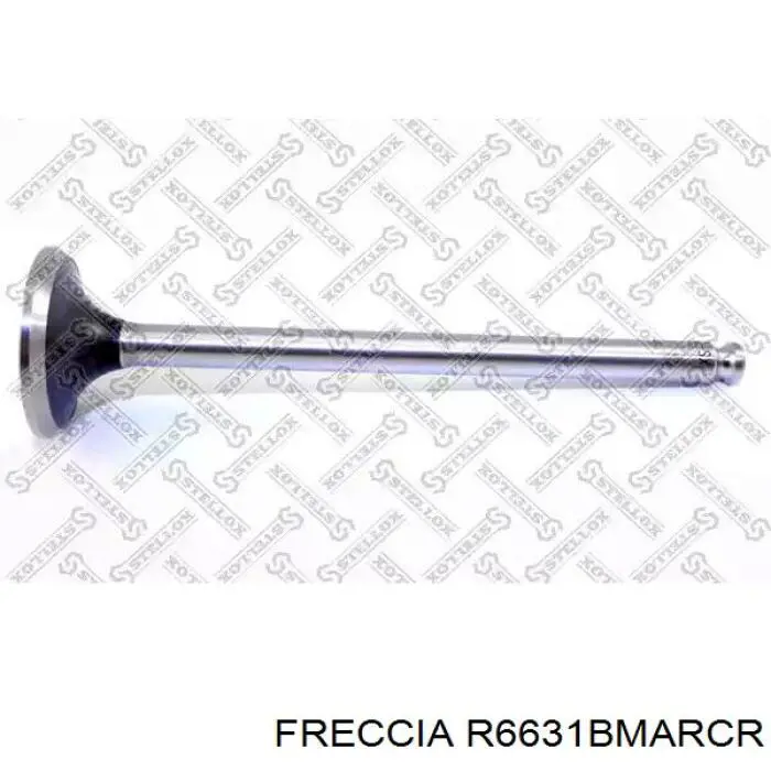R6631BMARCR Freccia клапан выпускной