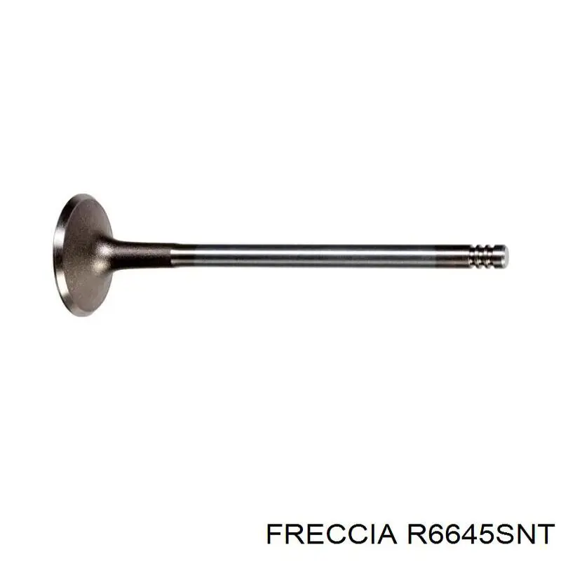 Клапан впускной Freccia R6645SNT цена, от 6.65 USD