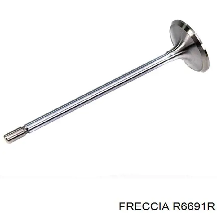 R6691R Freccia клапан выпускной