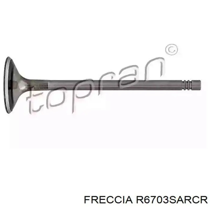 Клапан впускной Freccia R6703 цена, от 9.71 USD