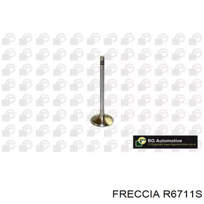 R6711S Freccia