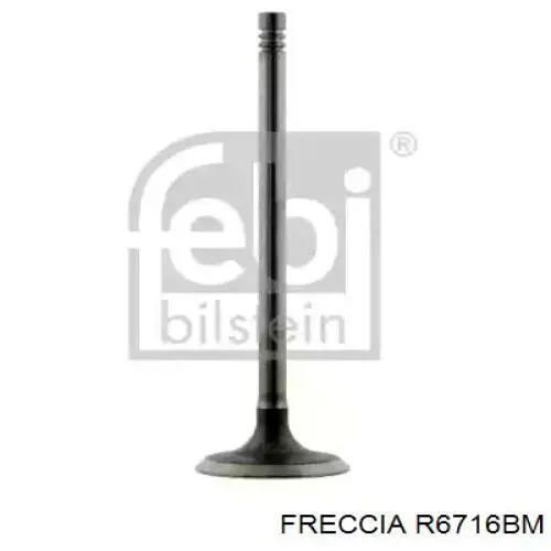 R6716BM Freccia