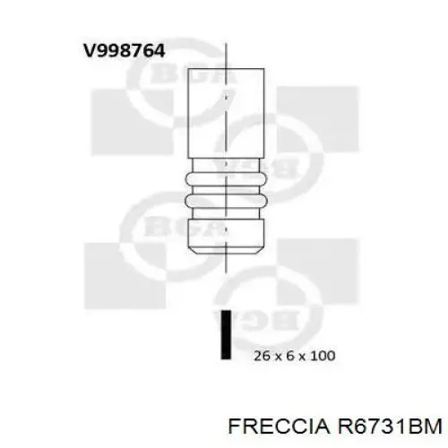 Válvula de escape R6731BM Freccia