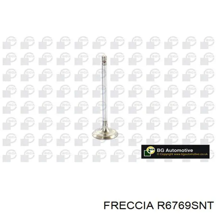 R6769SNT Freccia клапан впускной
