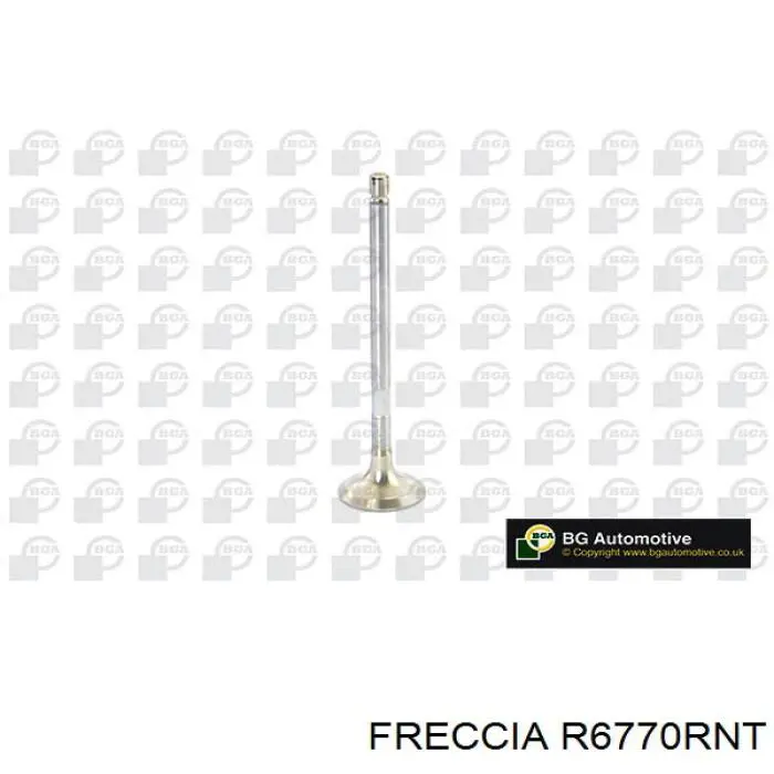 Купить R6770RNT Freccia Выпускной клапан