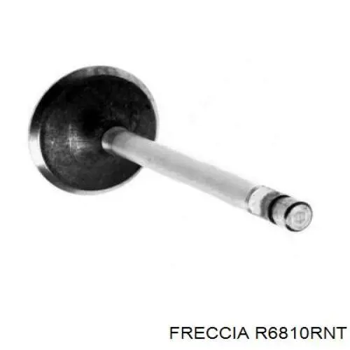 R6810RNT Freccia клапан выпускной