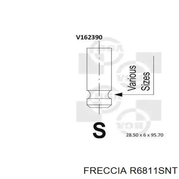 R6811SNT Freccia клапан впускной