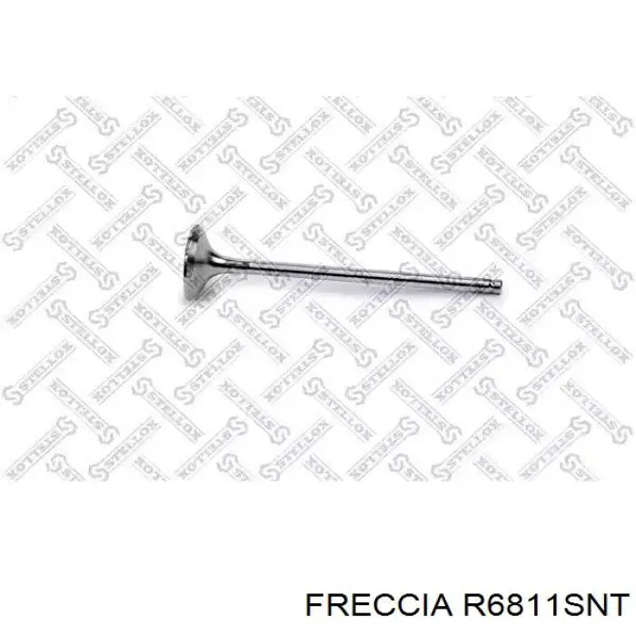 R6811SNT Freccia