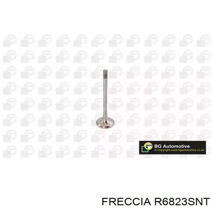 R6823SNT Freccia клапан впускной