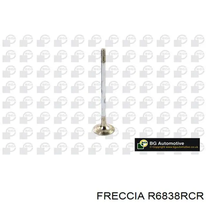R6838RCR Freccia клапан выпускной