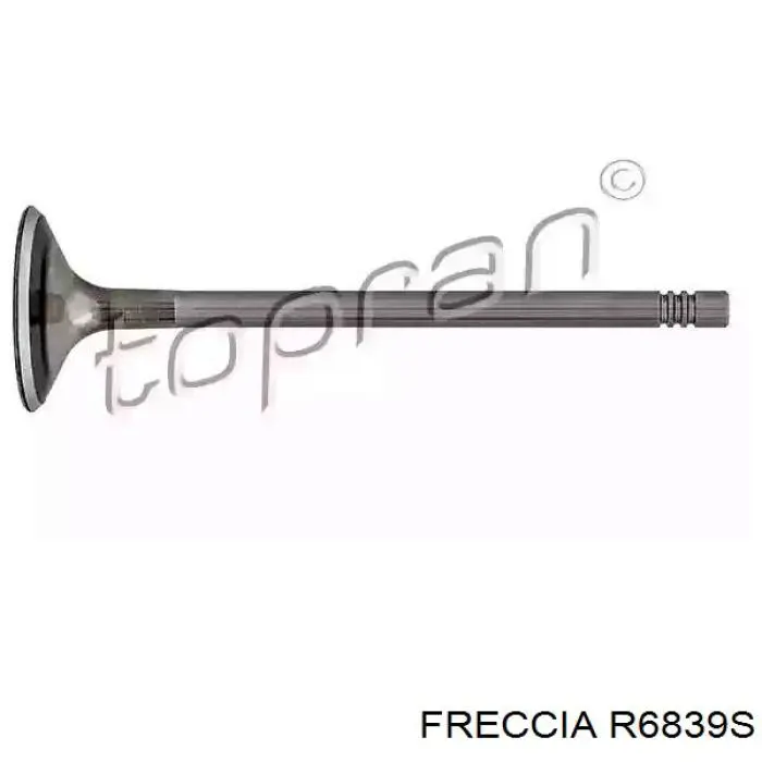 6839 Freccia Впускной клапан