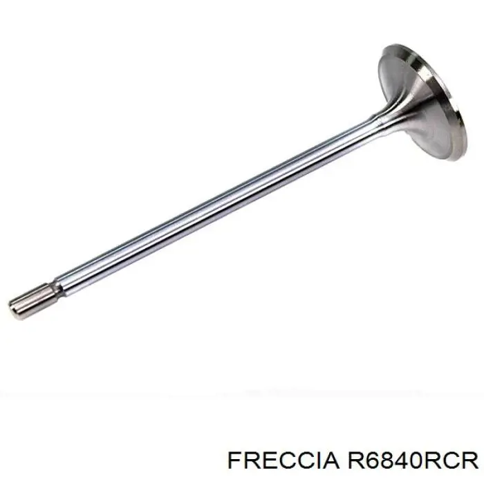 R6840RCR Freccia клапан выпускной